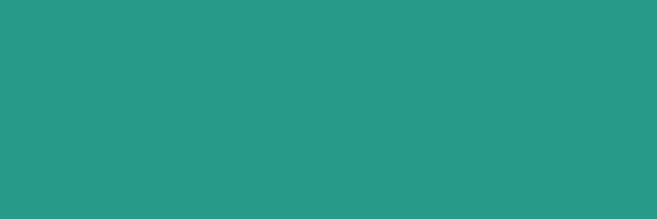 Plain Survey Solutions header image