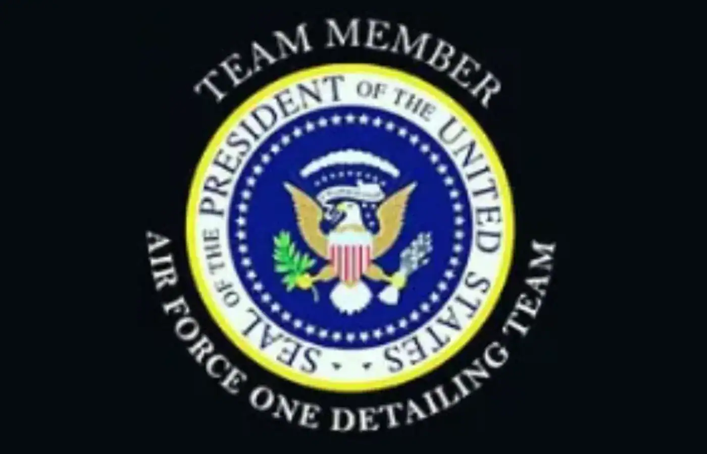 Air Force One Detailing Team member badge