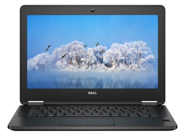 Άντραξ κέιμπλ και οθόνη υπολογιστή Dell, έκθεση σε λευκά δέντρα με πουλιά σε μπλε ουρανός.