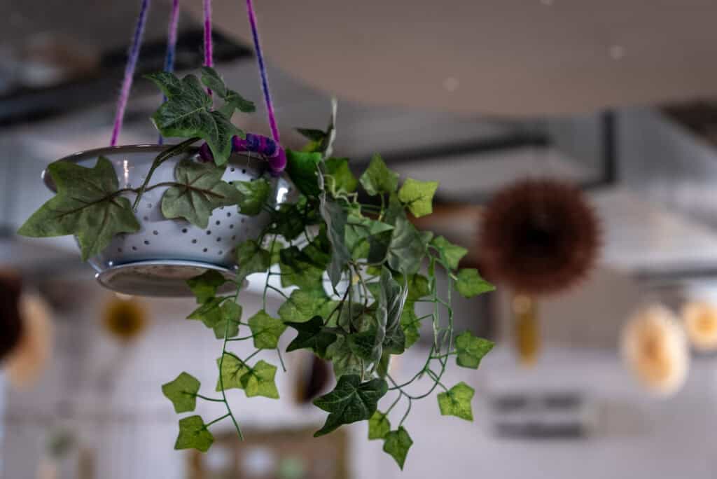 Hanging plant with green ivy in a nursery setting, promoting a natural and calming environment for children.