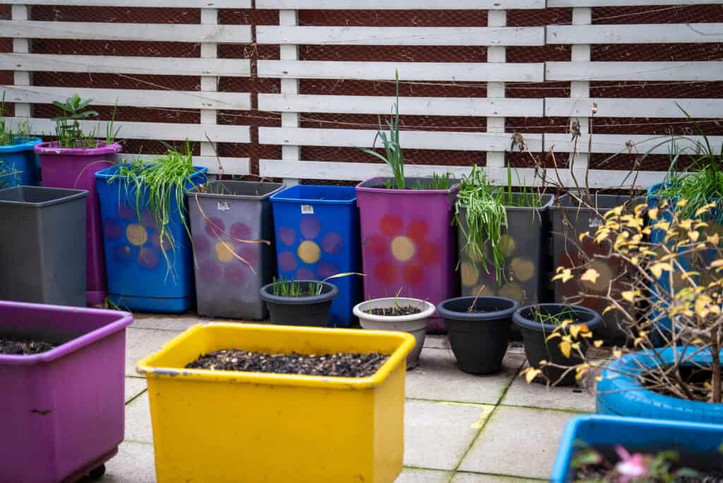 Brightly coloured plant pots on a nursery outdoor patio, showcasing a variety of young plants and seedlings in a vibrant, child-friendly environment.