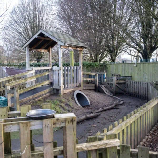 Bright outdoor childcare play area with wooden climbing structures, tunnels, and natural play elements for young children at Thrive Childcare.