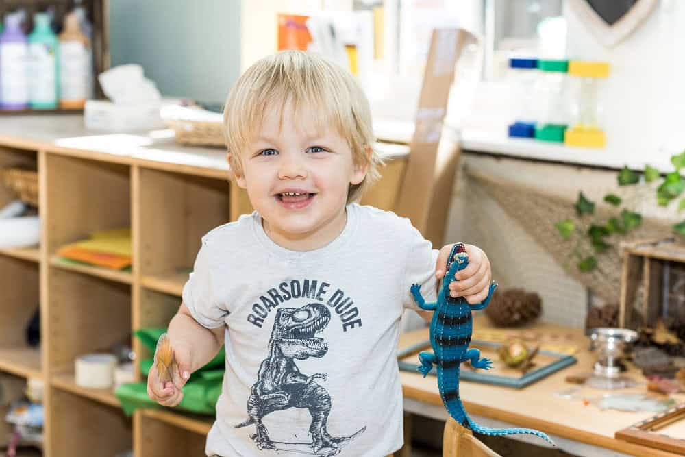 A young boy holding a blue toy dinosaur at Thrive Childcare, engaging in playful learning activities in a bright, welcoming classroom environment.
