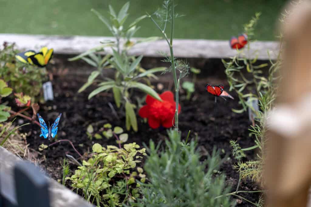 Colourful garden with vibrant flowers and decorative butterfly garden stakes, creating a nurturing outdoor environment for children at Thrive Childcare.