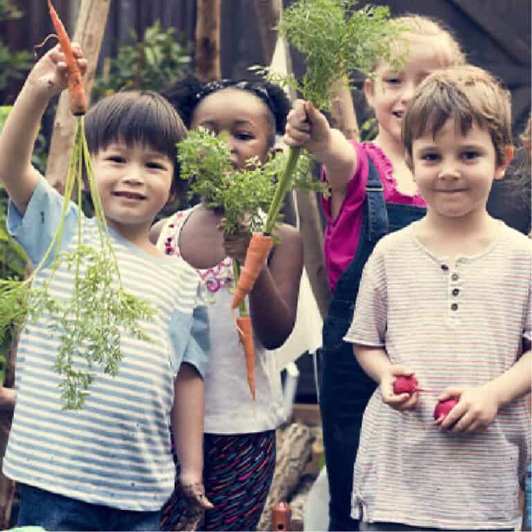 Children playing with vegetables in an outdoor garden at Thrive Childcare, promoting early childhood education, nature exploration, and healthy eating habits.