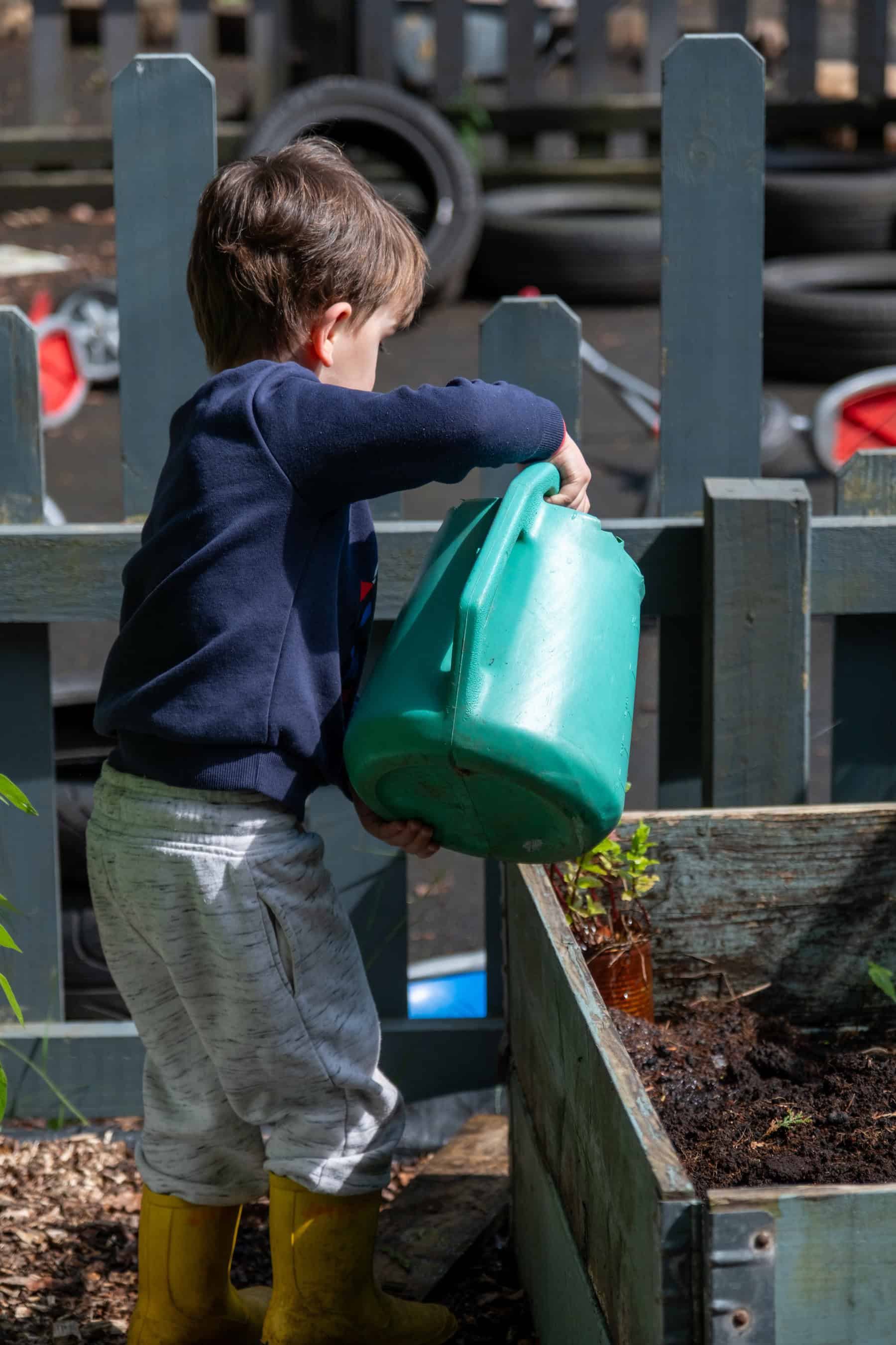 Watering young plants in a childcare garden, promoting outdoor learning and environmental awareness at Thrive Childcare.