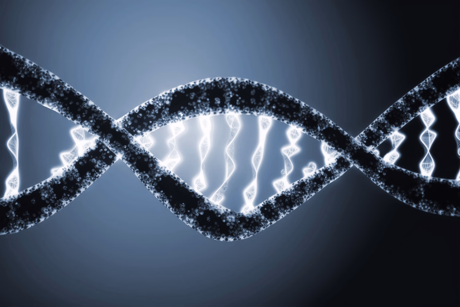 genetically modified organizations