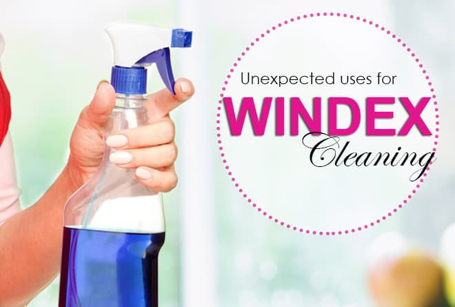 Uses For Windex