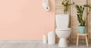 Toilet Cleaning