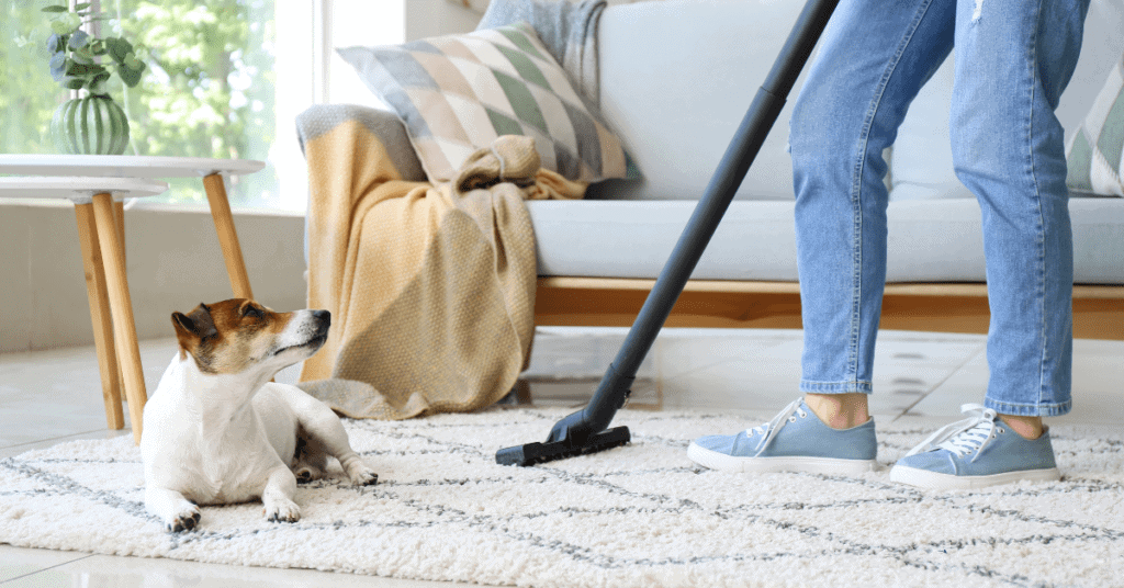 image-5 - Upstairs Downstairs Cleaning Service vacuuming the rug