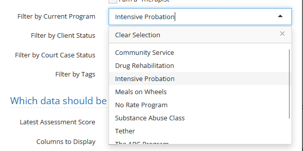 Client Widget Filtering Options