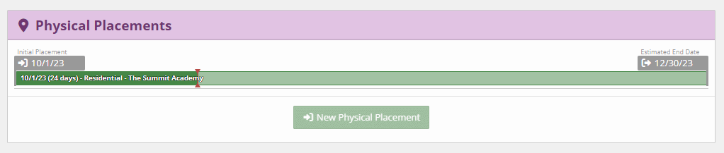 Physical Placement Panel
