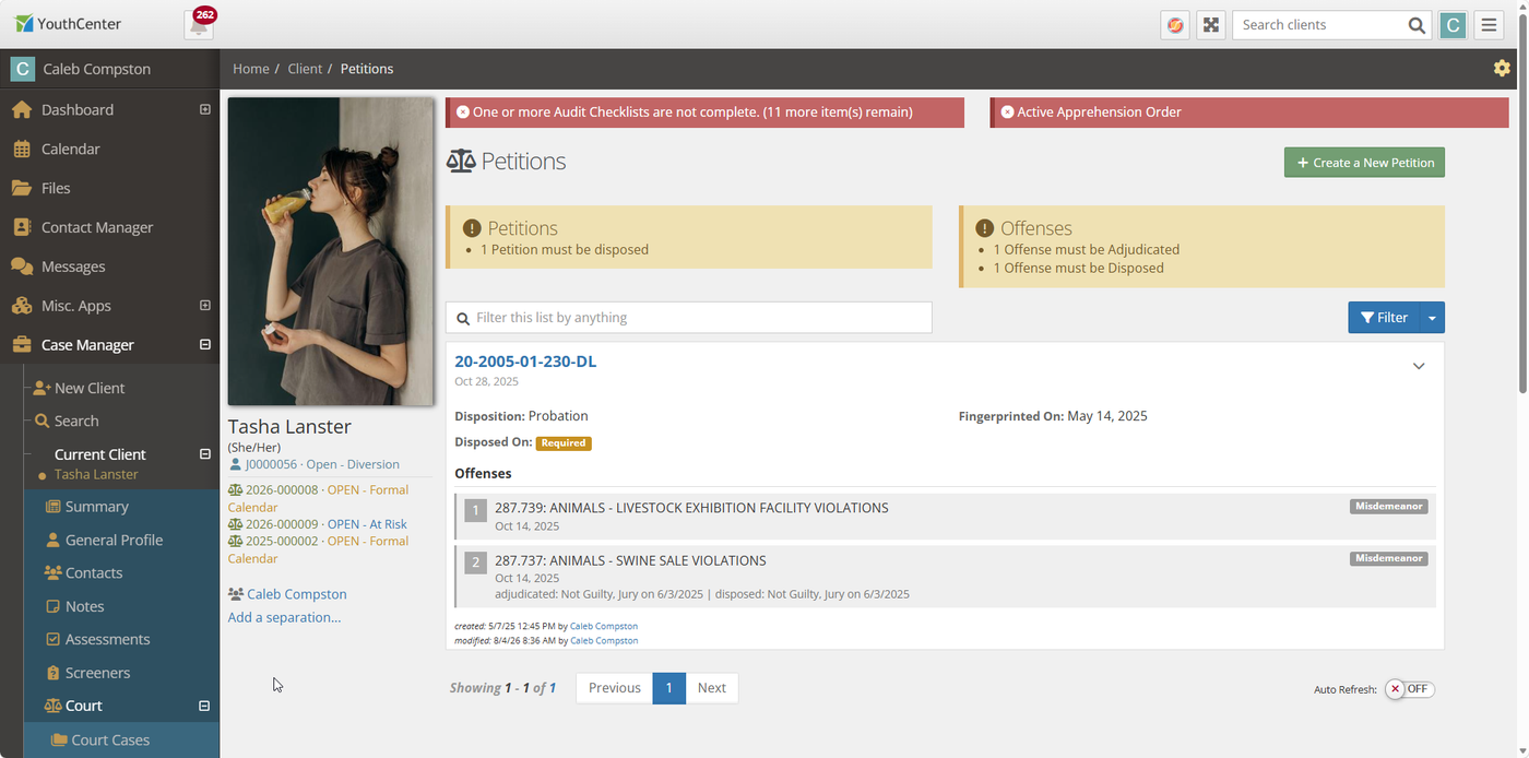 A screenshot of the new Petitions app on YouthCenter showing a sample client's record with Petitions and Offenses panels, listing petition and offense details.