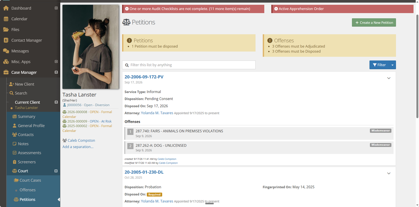 A screenshot of the Petitions panel for a sample client, with two petitions expanded to show their offense, disposition, and attorney details.