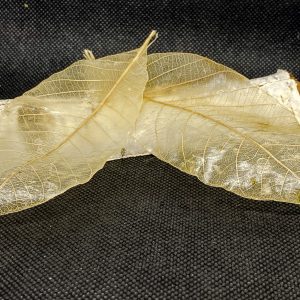 Single-use Leaf Soap