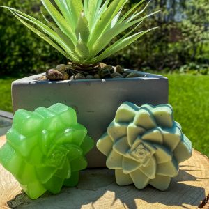 Succulent Soap