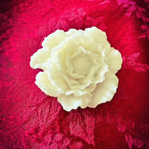 Delicate Flower