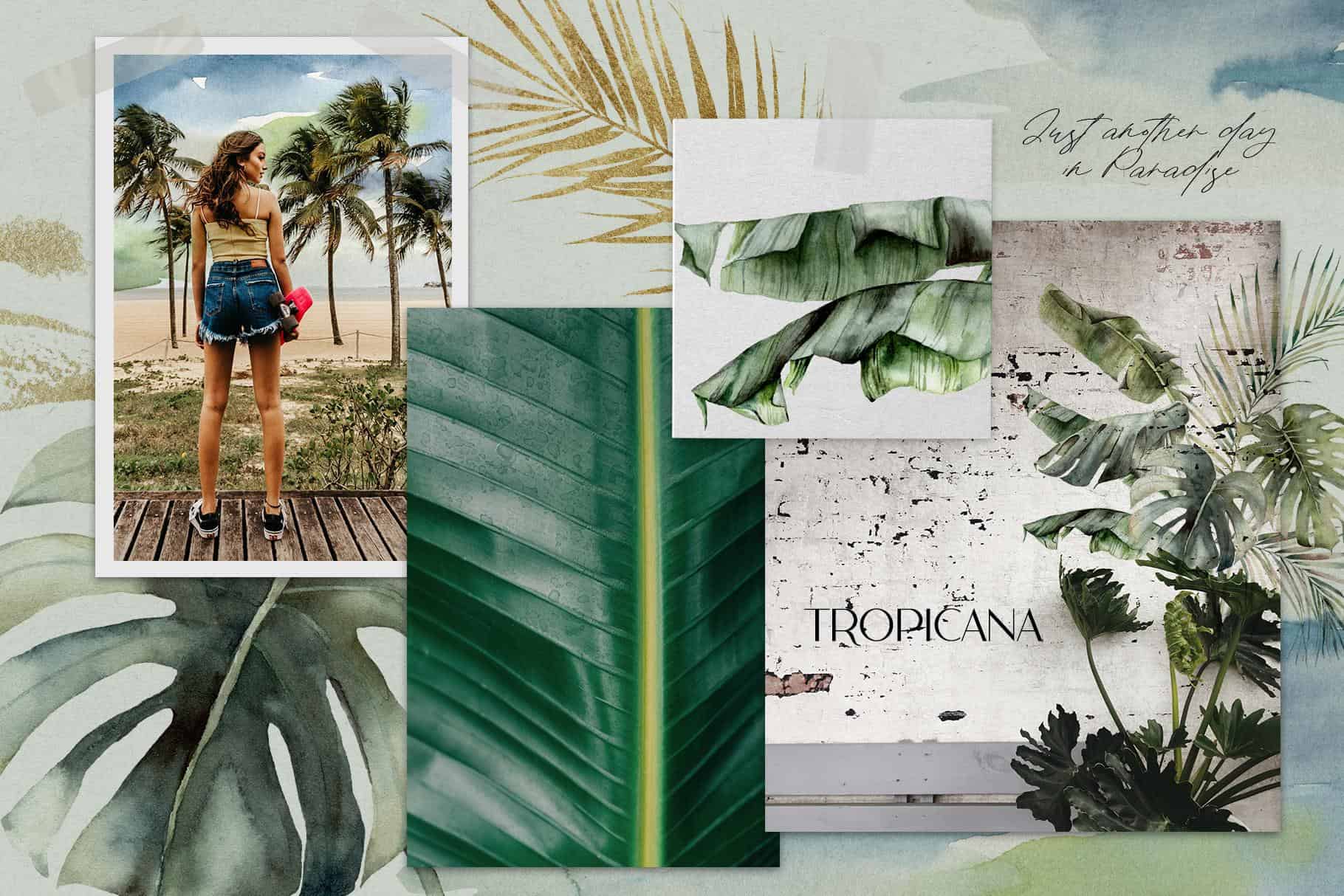 Tropicana: Watercolor Tropical Flowers, Leaves, and Fruits Illustrations - Image 2