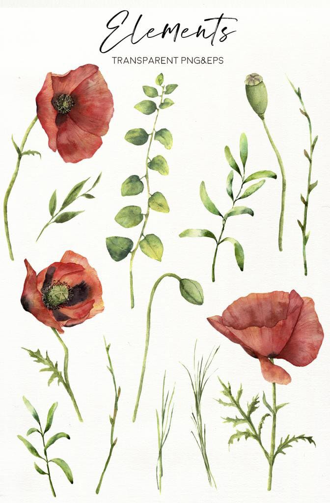 Poppies: flowers in red. Watercolor - Image 3