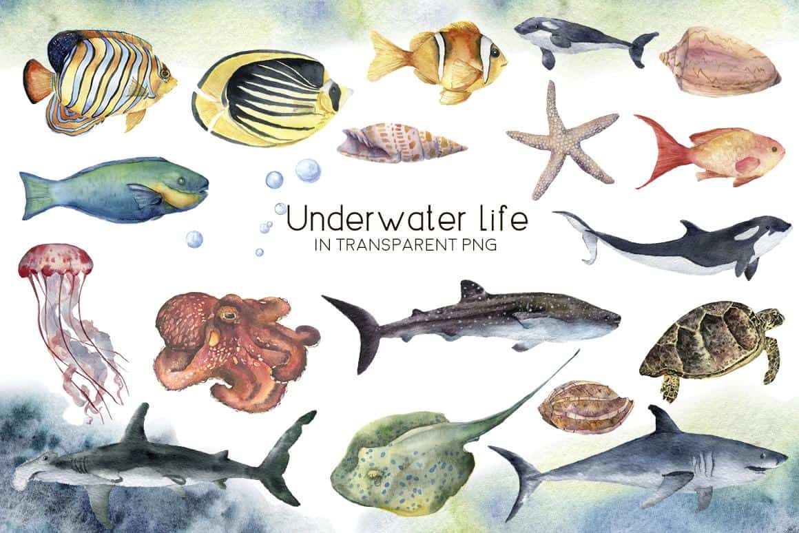 Underwater ocean watercolor clipart - Image 3
