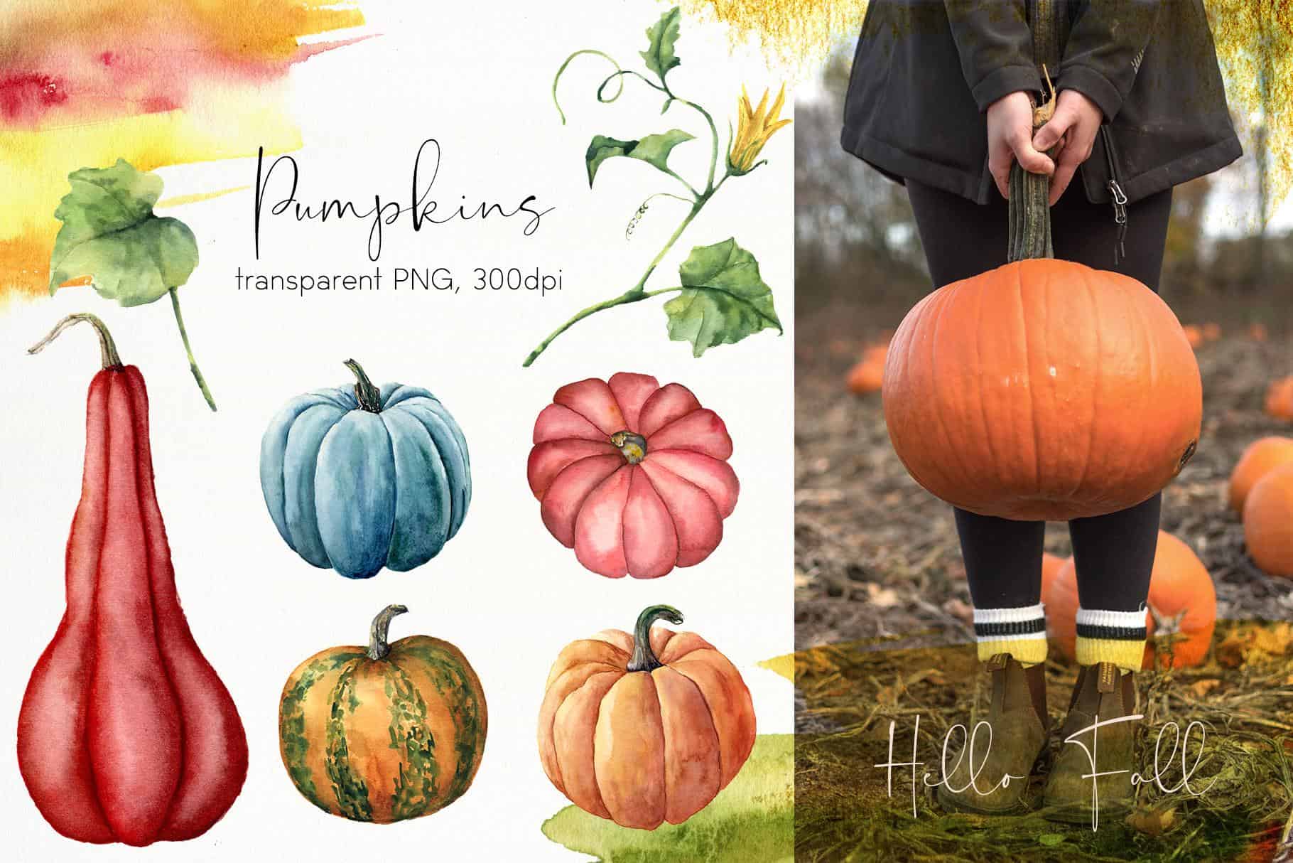 Pumpkins Watercolor & Line Art Illustrations - Image 3