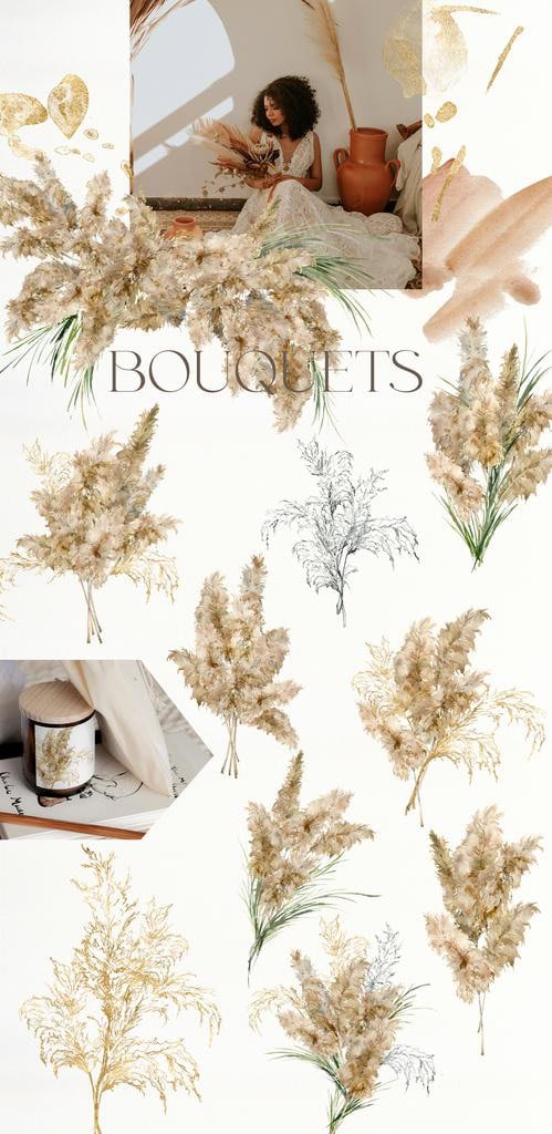 Pampas Grass watercolor botanical Illustrations & design - Image 3
