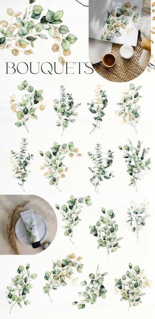 Eucalyptus watercolor greenery foliage leaves illustrations - Image 3