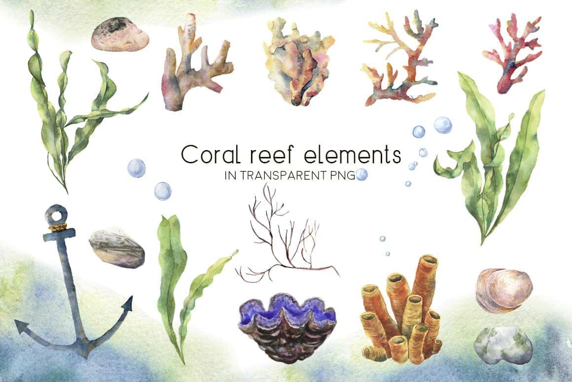Underwater ocean watercolor clipart - Image 4