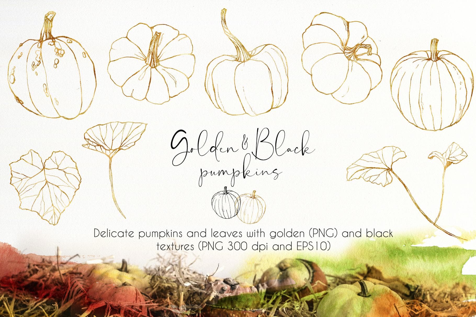 Pumpkins Watercolor & Line Art Illustrations - Image 4