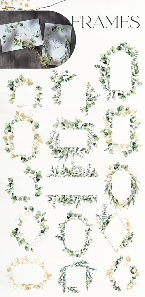 Eucalyptus watercolor greenery foliage leaves illustrations - Image 4