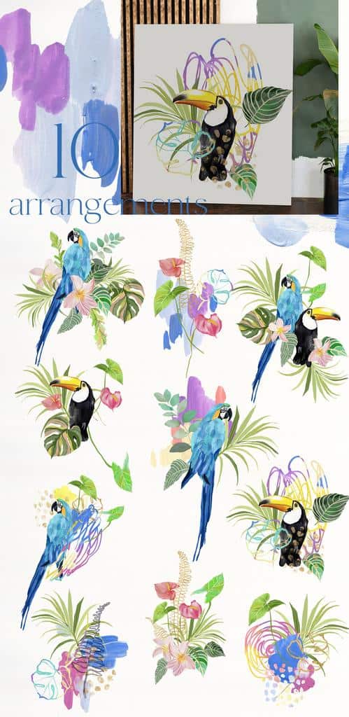 La Costa bright summer backgrounds + tropical birds - Image 4