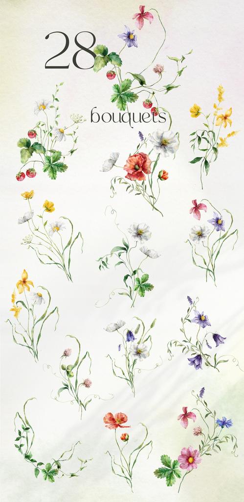 Wildflower poetry watercolor wild flowers illustrations - Image 4