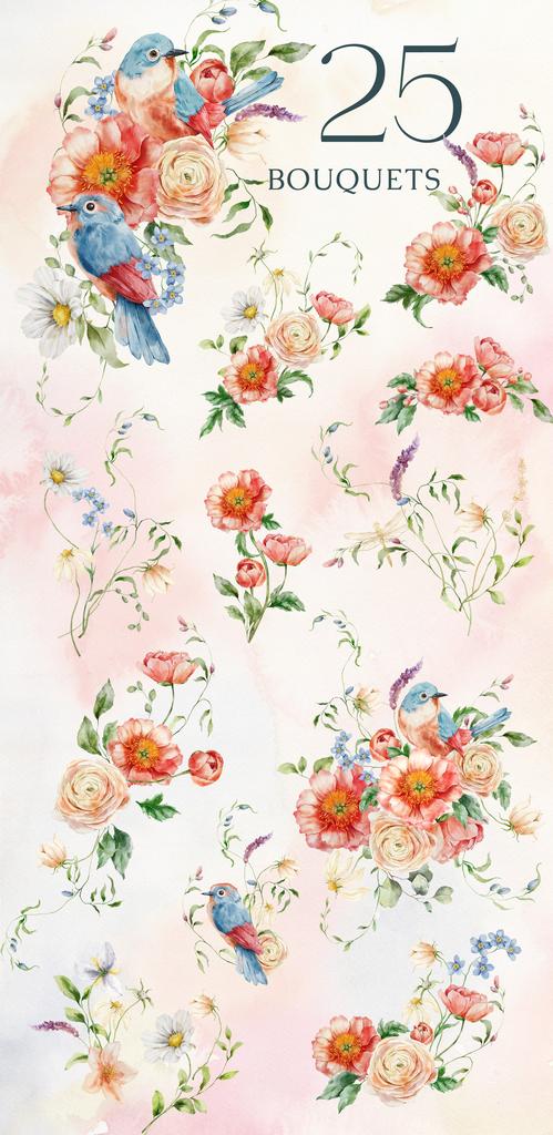 Peachy meadow watercolor wildflower illustrations - Image 4
