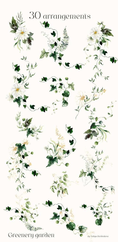 Greenery garden watercolor foliage illustrations clipart - Image 5