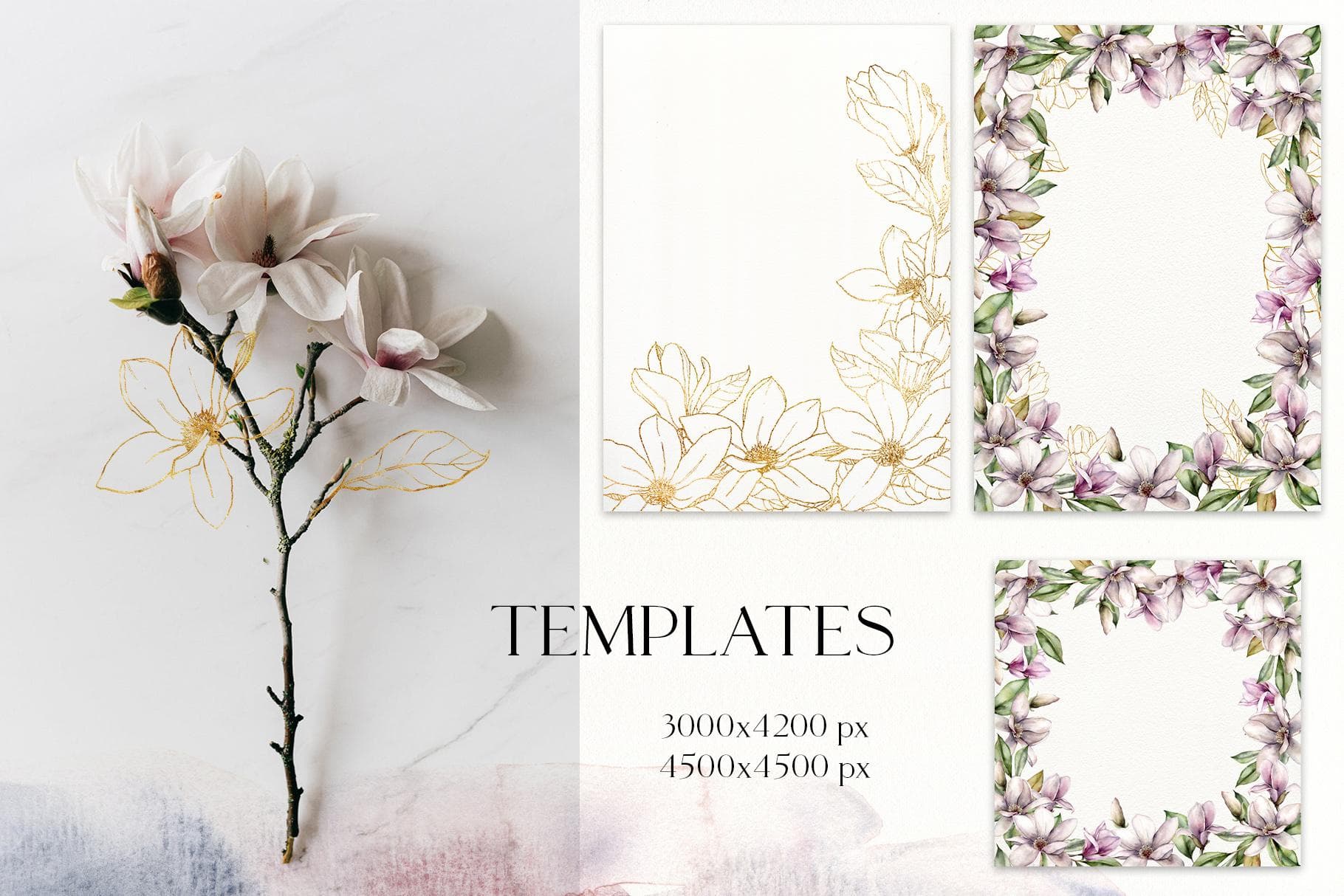 Magnolia Blossom Flower Watercolor Illustrations - Image 5