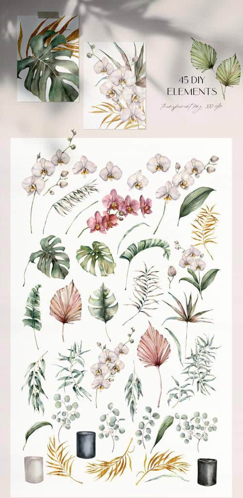 Orchid flowers watercolor tropical floral illustrations - Image 5