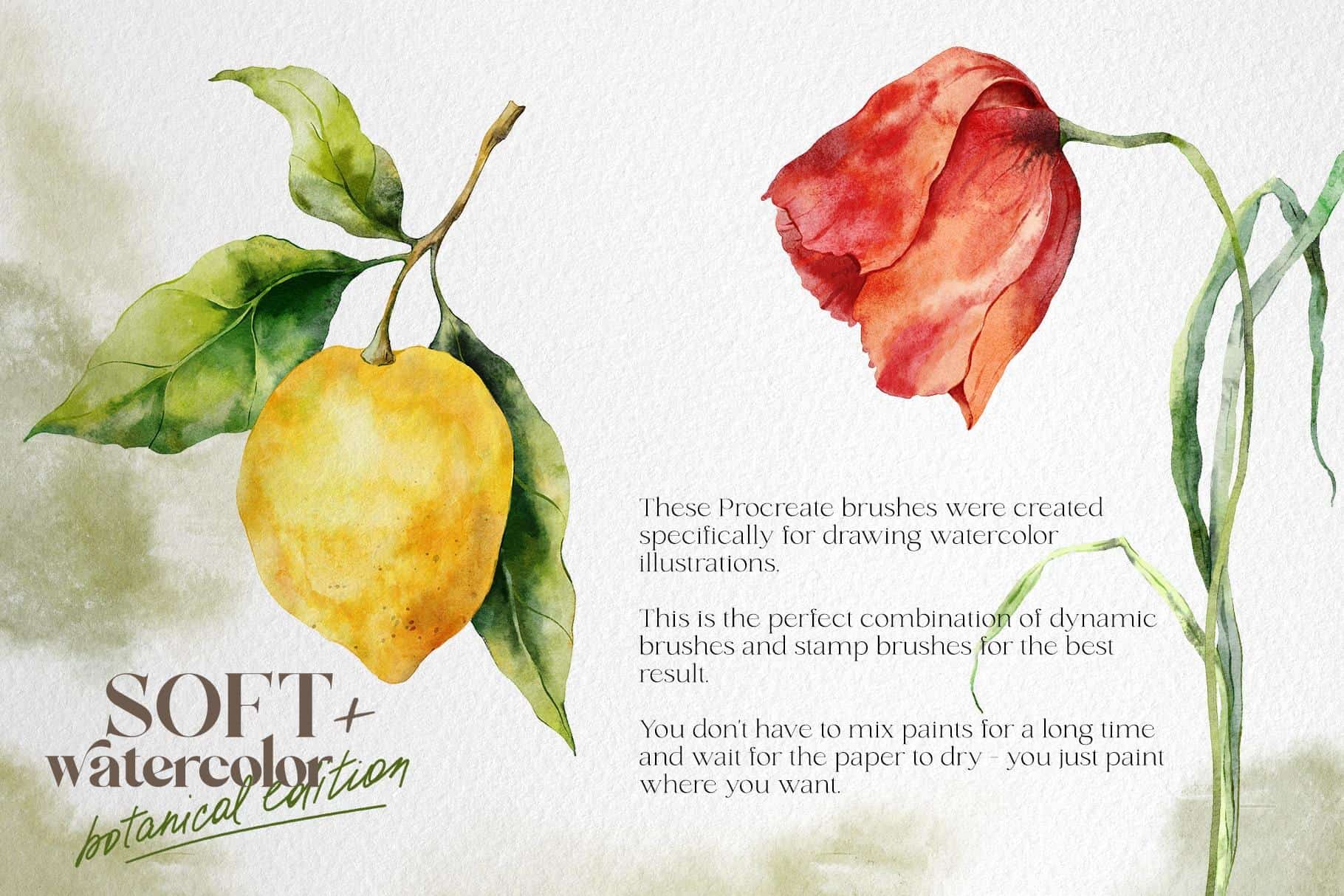 SOFT WATERCOLOR Procreate brushes + botanical edition - Image 5