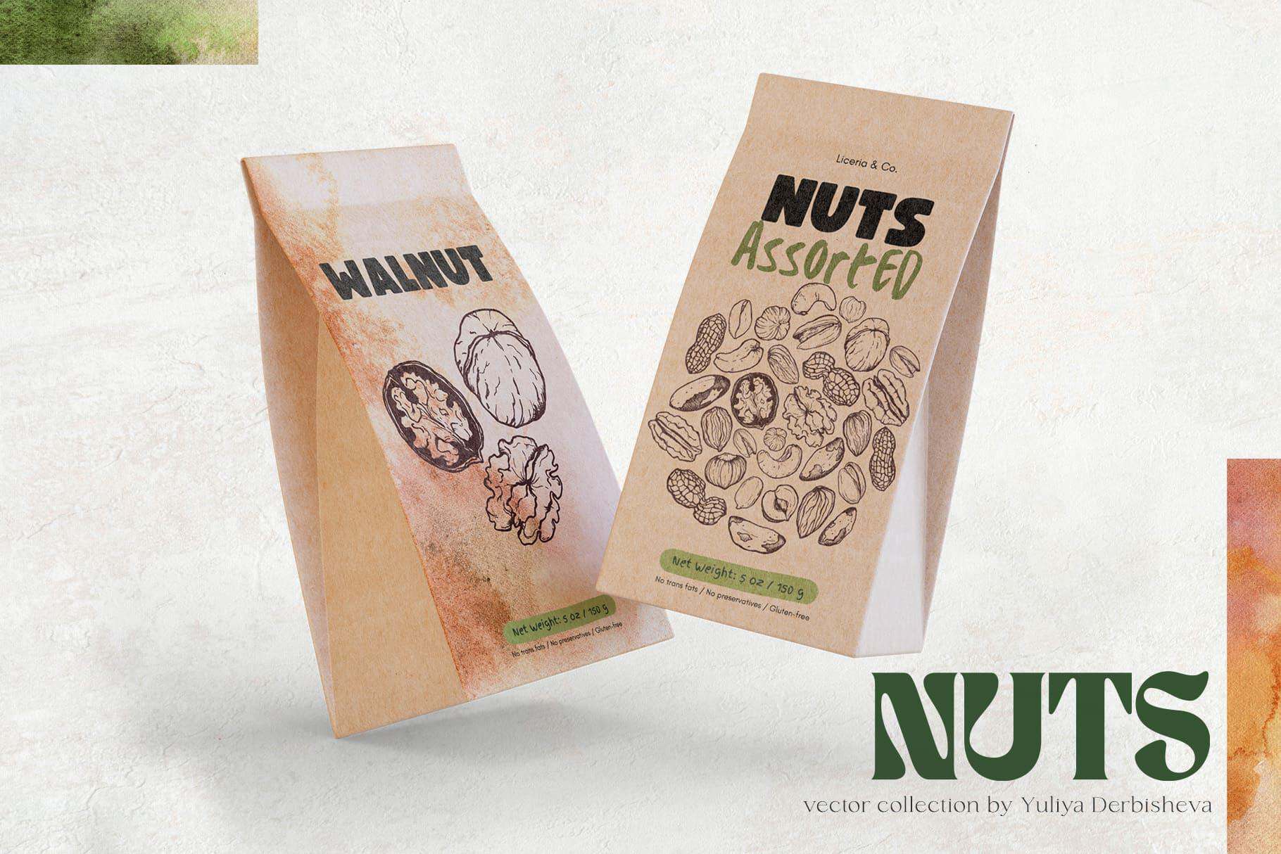 NUTS vector nut illustration texture & patterns - Image 5