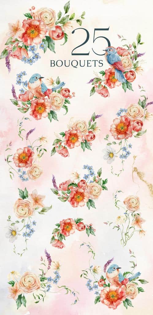 Peachy meadow watercolor wildflower illustrations - Image 5