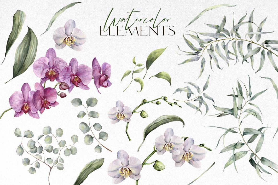 Orchids watercolor flowers illustrations - Image 6