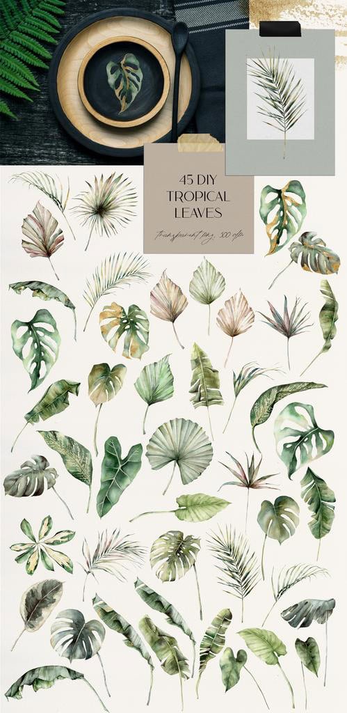Tropicana: Watercolor Tropical Flowers, Leaves, and Fruits Illustrations - Image 6