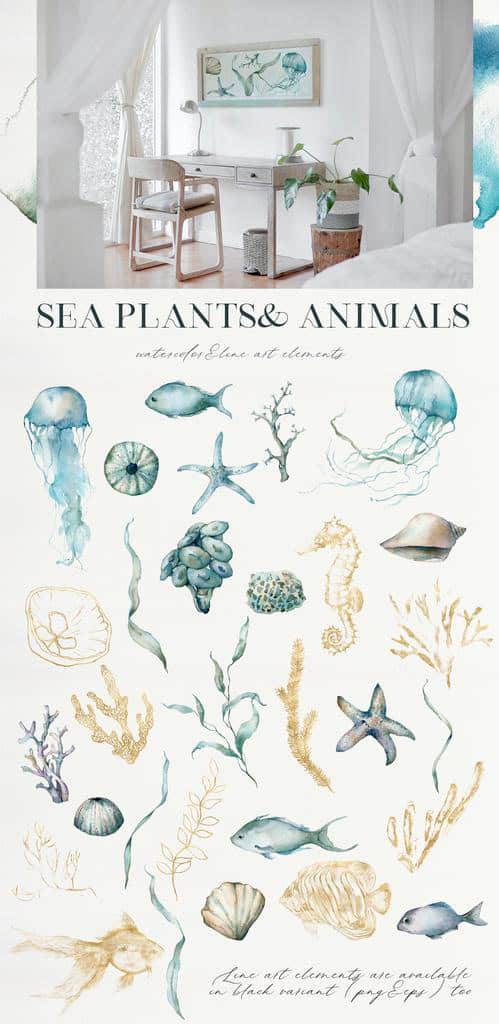 Tropical Sea Creatures: Ocean Animals & Turquoise Backgrounds for Design - Image 9