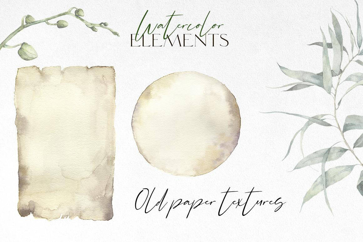 Orchids watercolor flowers illustrations - Image 7