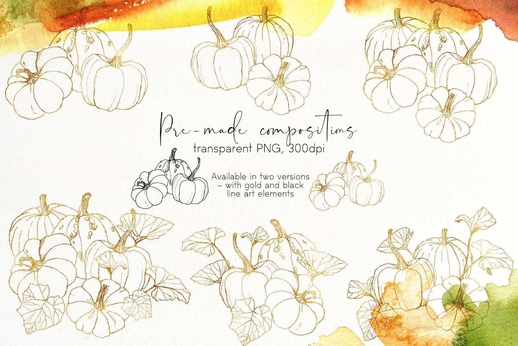 Pumpkins Watercolor & Line Art Illustrations - Image 7