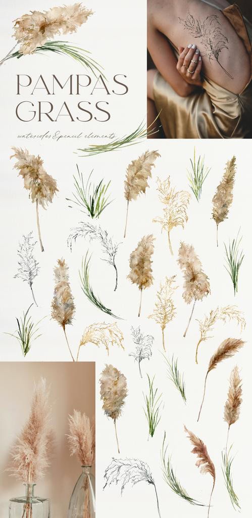 Pampas Grass watercolor botanical Illustrations & design - Image 7
