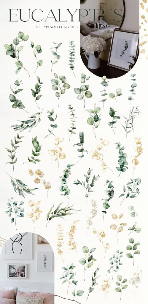 Eucalyptus watercolor greenery foliage leaves illustrations - Image 7