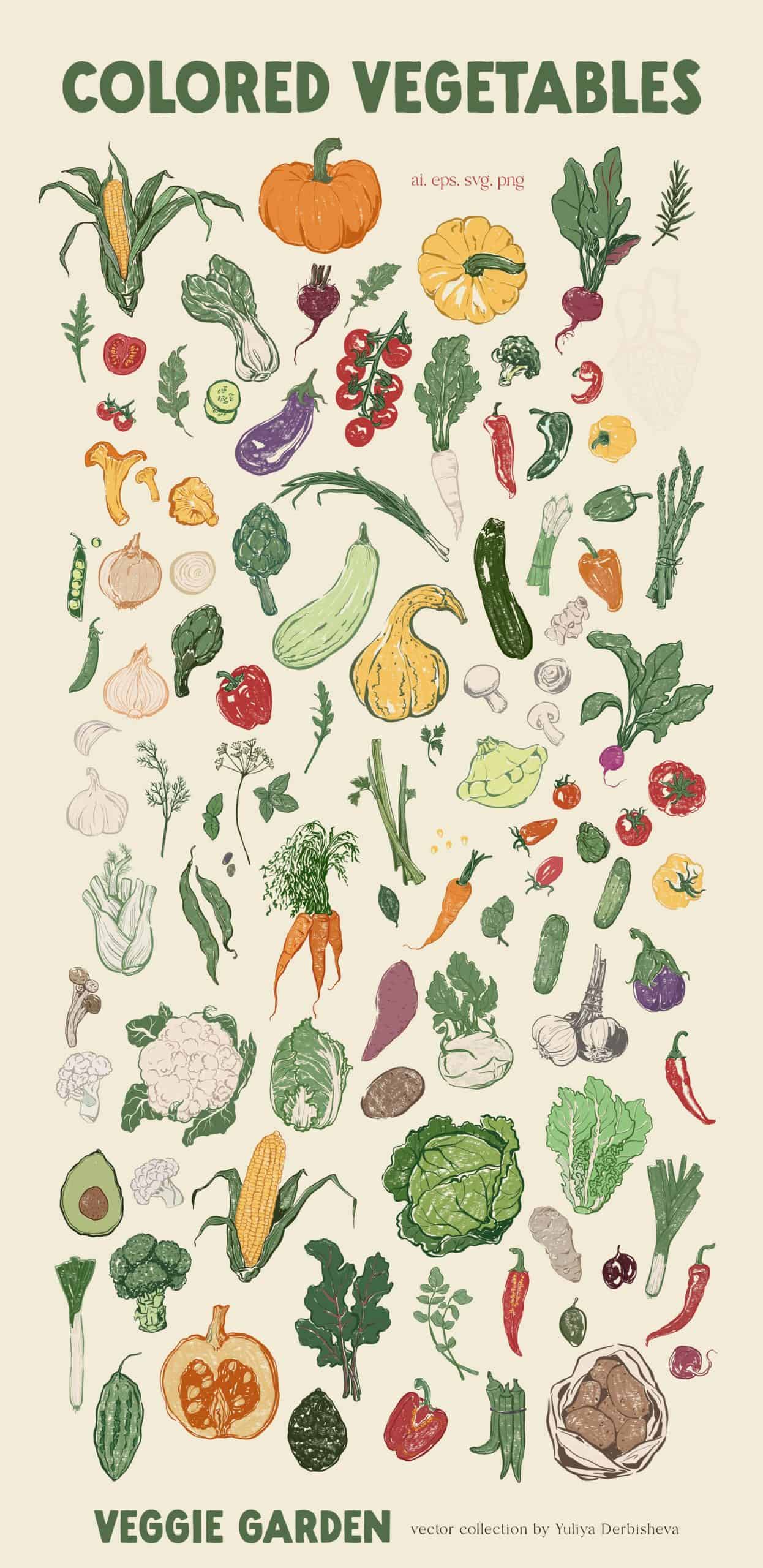 Veggie Garden – Hand-Drawn Vegetables Vector Illustrations, Patterns & Posters - Image 7