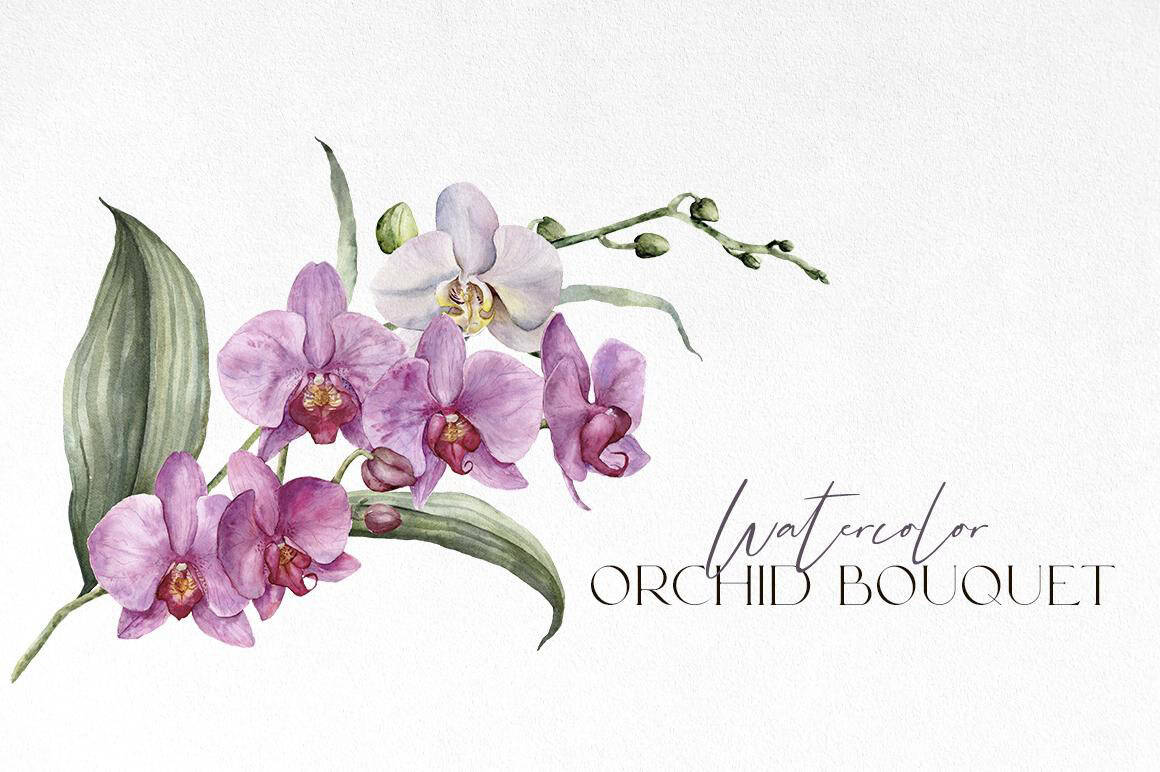 Orchids watercolor flowers illustrations - Image 8