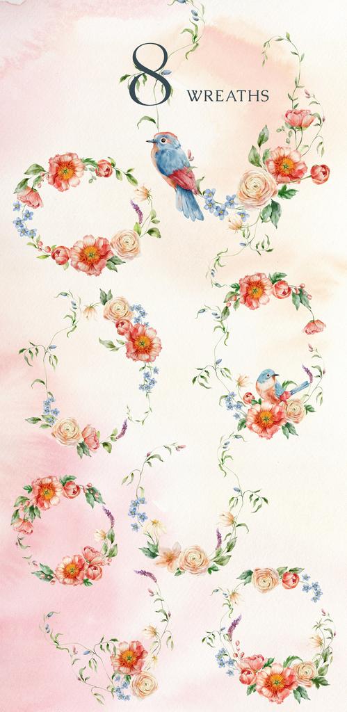 Peachy meadow watercolor wildflower illustrations - Image 8