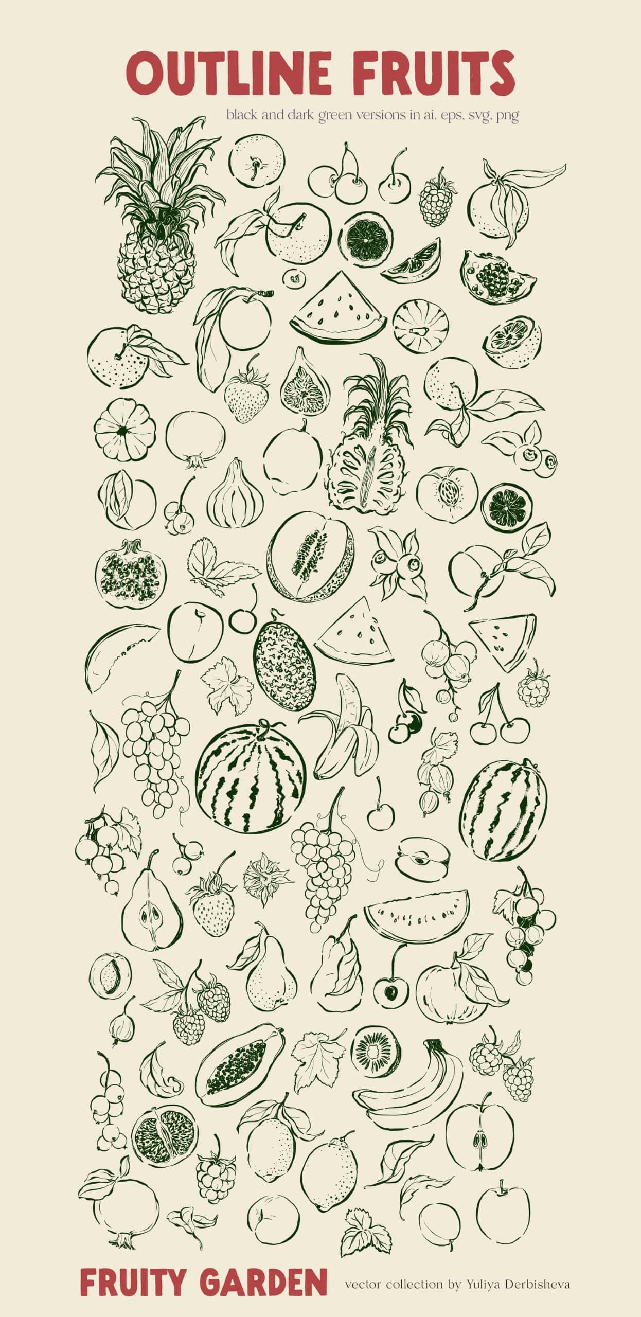 Fruity Garden vector fruits and berries illustrations, posters, patterns - Image 8